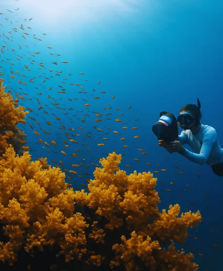 Diving & the sea