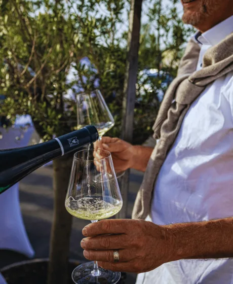 Wine & tastings